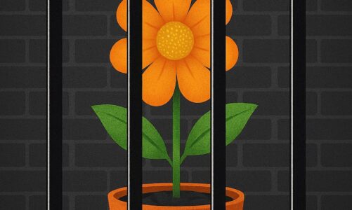 Cezaevindeki Çiçekler Solmasın!